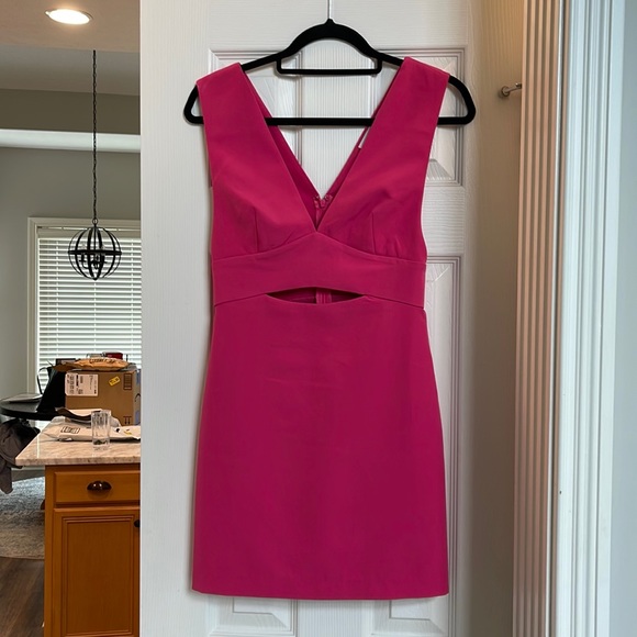 Hot Pink Derby Deep V Mini Dress XS - Picture 1 of 6